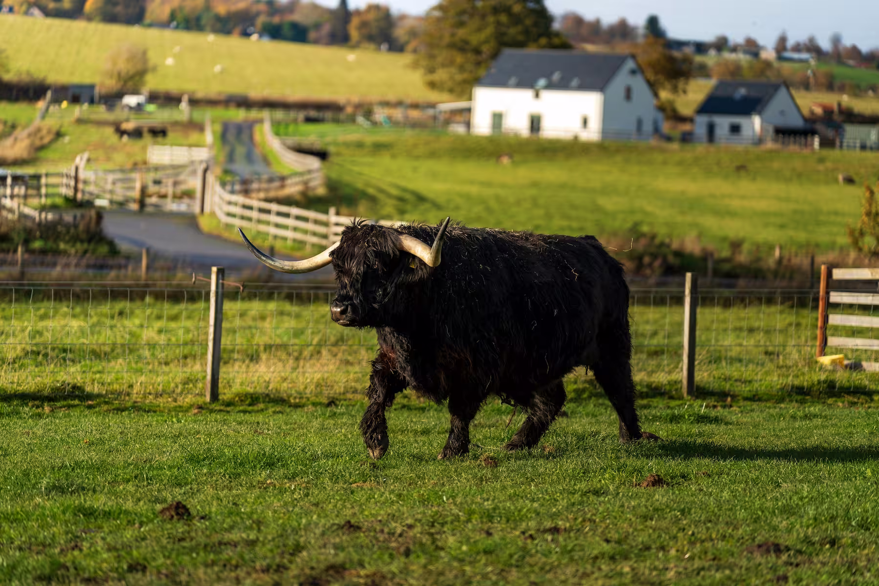 How to Sell a Farm in the UK
