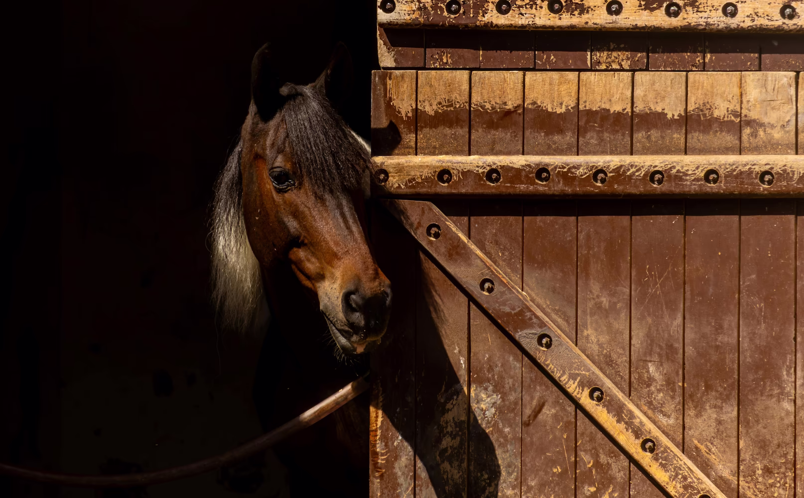 Ranch for Sale in the UK