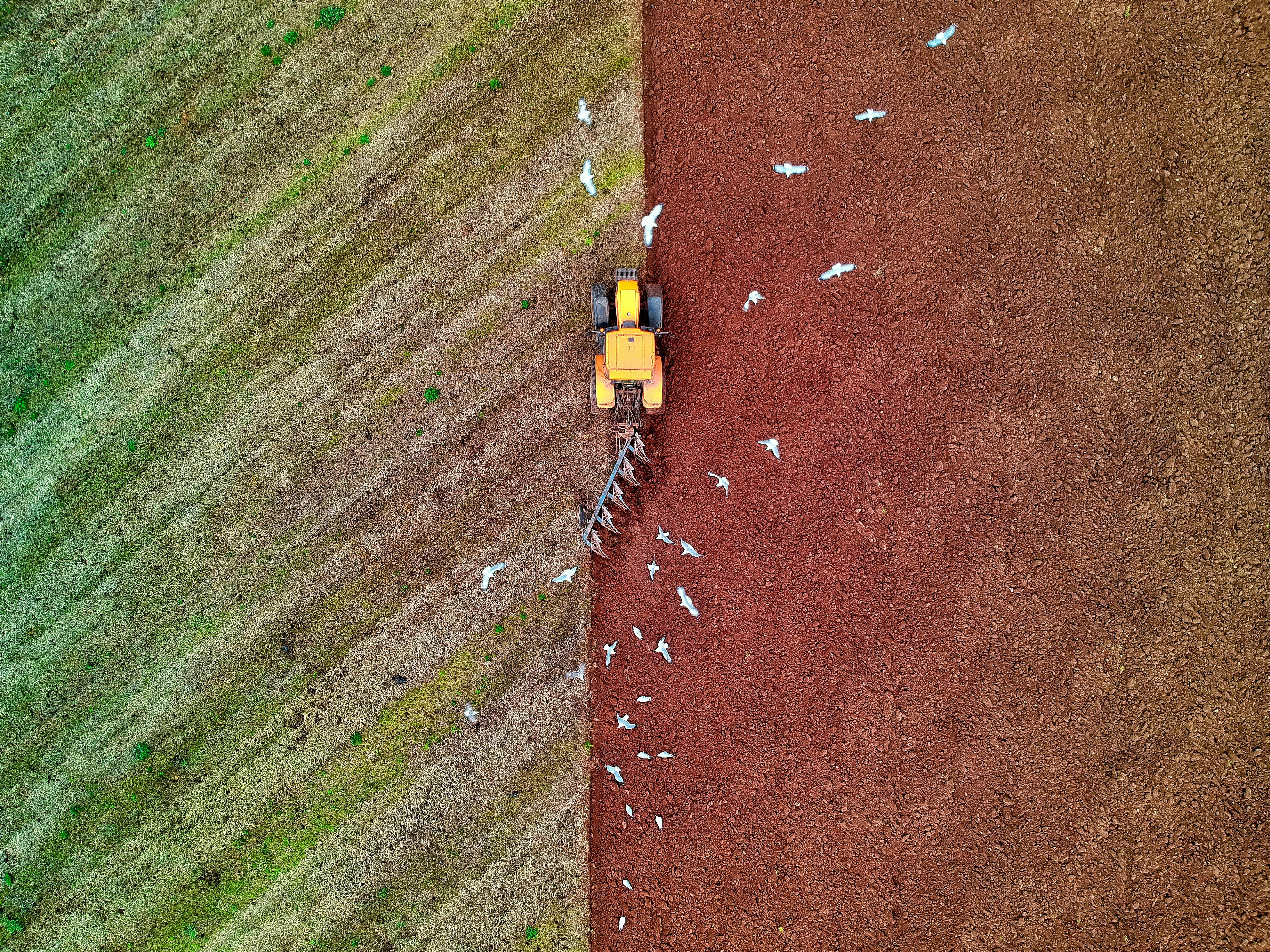 Understanding UK Land Prices: A Complete Guide